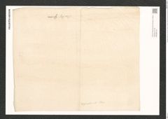 Pleurosigma baileyi Grun. (de-Toni-Nr.: Genus 13, Species 1084) Zeichnungen Sammlung Grunow (NHMW-BOT-W0369134)